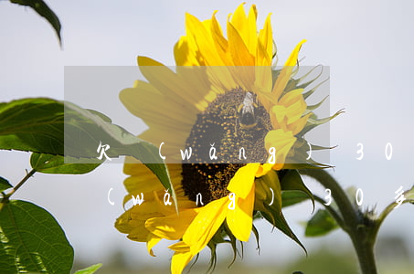欠網(wǎng)貸30萬翻不了身了(欠網(wǎng)貸30多萬)
