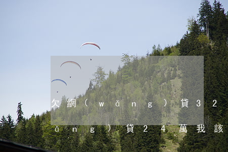 欠網(wǎng)貸32萬怎么辦(欠網(wǎng)貸24萬,我該怎么辦)