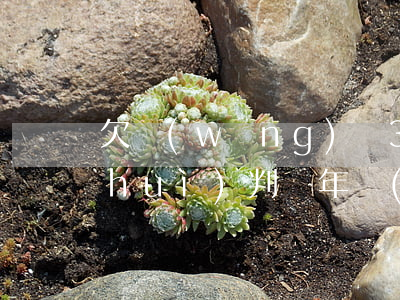 欠網(wǎng)貸35萬(wàn)會(huì)判幾年(網(wǎng)貸欠5年以上的)