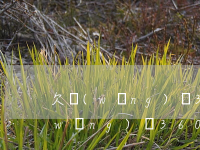 欠網(wǎng)貸3600被起訴(欠網(wǎng)貸3600被起訴會(huì)怎樣)