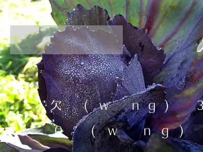 欠網(wǎng)貸360說是要報警(360網(wǎng)貸還不上,催收說要上門,走法律程序)