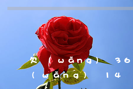 欠網(wǎng)貸36萬已無力償還(欠網(wǎng)貸14萬無力償還感覺這輩子完蛋了)