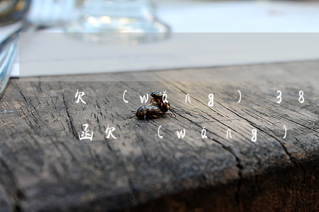 欠網(wǎng)貸384000收到律師函(欠網(wǎng)貸發(fā)來(lái)律師函有沒(méi)有事)