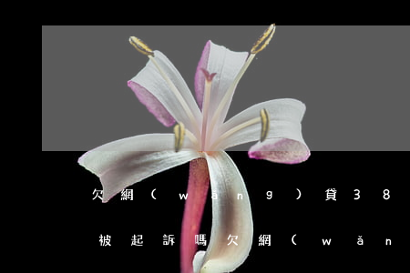 欠網(wǎng)貸3880會(huì)被起訴嗎(欠網(wǎng)貸3880會(huì)被起訴嗎)
