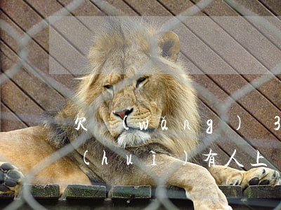 欠網(wǎng)貸3千會(huì)不會(huì)有人上門抓人（欠網(wǎng)貸3千會(huì)不會(huì)有人上門）