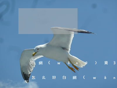 欠網(wǎng)貸3萬(wàn)不知道怎么坦白(網(wǎng)貸欠13萬(wàn) 怎么坦白)