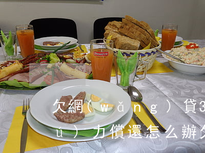欠網(wǎng)貸3萬(wàn)無(wú)力償還怎么辦(欠網(wǎng)貸4萬(wàn)無(wú)力償還怎么辦)