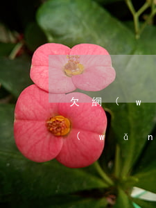 欠網(wǎng)貸3萬元逾期一年-欠網(wǎng)貸3萬元逾期一年利息多少