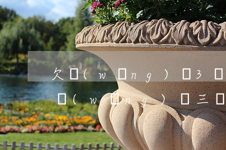 欠網(wǎng)貸3萬多還不上怎么辦(欠網(wǎng)貸三萬多現(xiàn)在還不上)