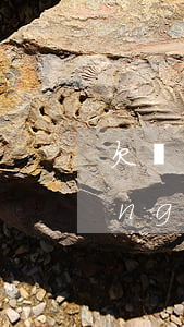 欠網(wǎng)貸3萬怎么判(欠網(wǎng)貸3萬算多嗎)