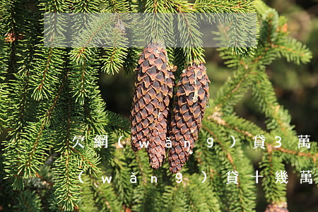 欠網(wǎng)貸3萬怎么跟家里說(欠網(wǎng)貸十幾萬怎么跟家里說)