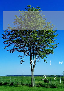欠網(wǎng)貸3萬會(huì)上門嗎(欠2萬多網(wǎng)貸會(huì)上門嗎)