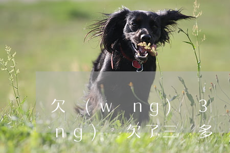 欠網(wǎng)貸3萬月薪3千(網(wǎng)貸欠了三萬多)
