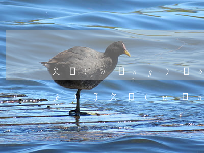 欠網(wǎng)貸3萬被起訴凍結(jié)了(欠網(wǎng)貸3萬被起訴凍結(jié)了)
