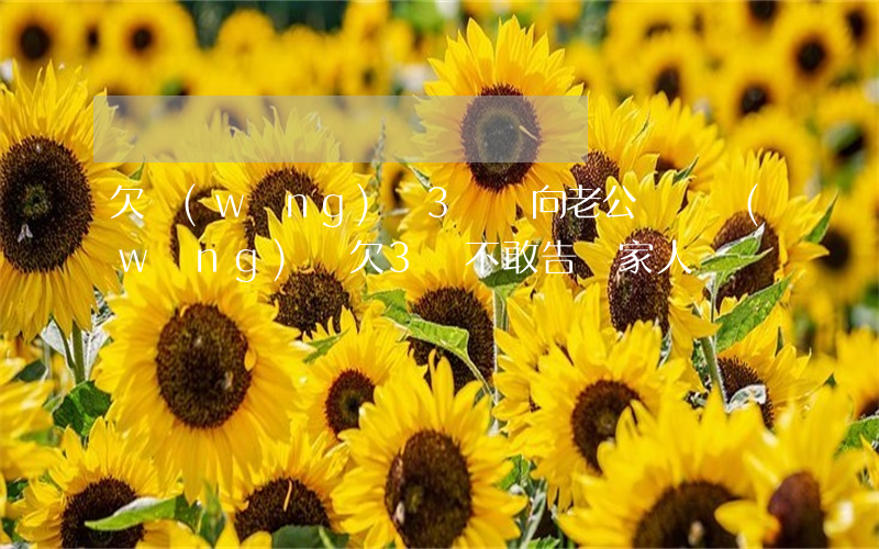 欠網(wǎng)貸3萬該向老公說嗎(網(wǎng)貸欠3萬不敢告訴家人)