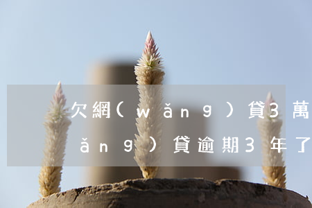 欠網(wǎng)貸3萬逾期一年(欠網(wǎng)貸逾期3年了)