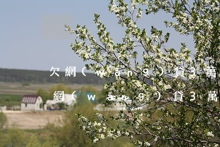 欠網(wǎng)貸3萬還22萬怎么辦(欠網(wǎng)貸3萬還22萬怎么辦)