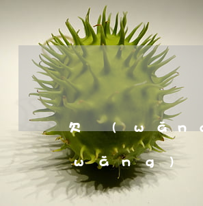 欠網(wǎng)貸4000不還了(欠網(wǎng)貸4000不還會(huì)怎樣)