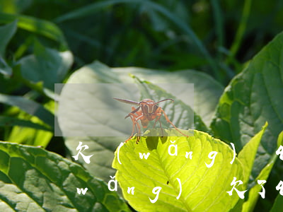 欠網(wǎng)貸40償還怎么處理(網(wǎng)貸欠了40萬(wàn)無(wú)力償還怎么辦)