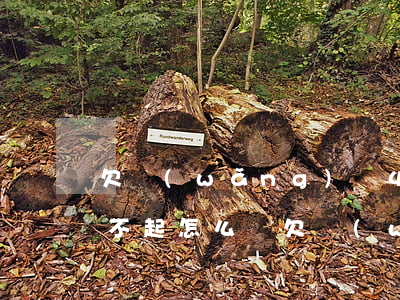 欠網(wǎng)貸40多萬(wàn)還不起怎么辦(欠網(wǎng)貸40萬(wàn)還不上怎么辦)