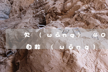 欠網(wǎng)貸40萬(wàn)如何自救(網(wǎng)貸欠40萬(wàn)自救方法)