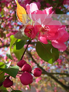 欠網(wǎng)貸40萬(wàn)要不要告訴家里人(家人欠網(wǎng)貸四十多萬(wàn)怎么辦)