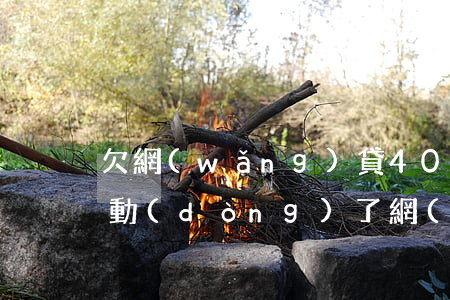 欠網(wǎng)貸40萬(wàn)還不動(dòng)了(網(wǎng)貸欠了40萬(wàn)還不起怎么辦)