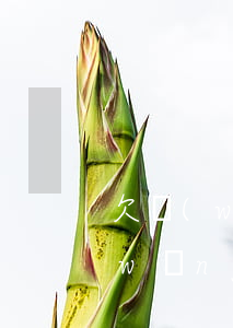欠網(wǎng)貸40萬不還會咋樣(網(wǎng)貸幾十萬不還會有什么后果)