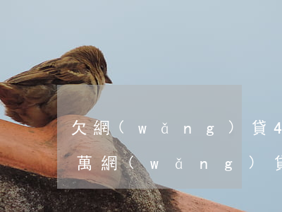 欠網(wǎng)貸40萬還不上(欠了40萬網(wǎng)貸沒錢還怎么辦)