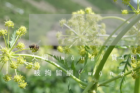 欠網(wǎng)貸4500會(huì)被拘留(網(wǎng)貸欠款會(huì)被拘留嗎)