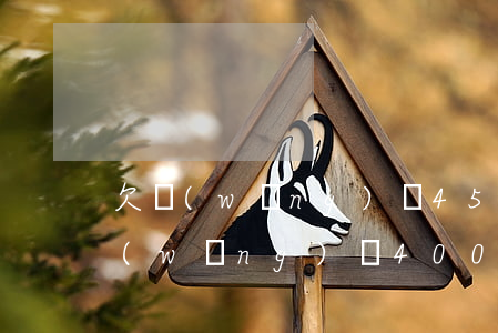 欠網(wǎng)貸4500立案圖片(欠網(wǎng)貸4000)