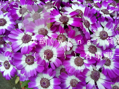 欠網(wǎng)貸4500逾期20天會(huì)有事嗎-欠網(wǎng)貸4500逾期20天會(huì)有事嗎怎么辦