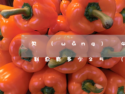 欠網(wǎng)貸45萬(wàn)一年利息有多少(25萬(wàn)網(wǎng)貸一年利息)