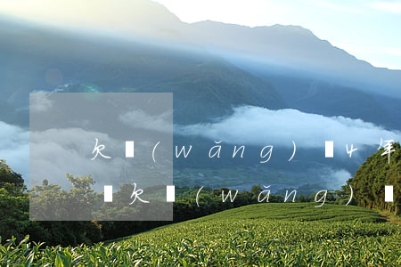 欠網(wǎng)貸4年會(huì)怎么樣(欠網(wǎng)貸很多年不還)