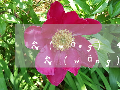 欠網(wǎng)貸4年能坐飛機(jī)嗎(欠網(wǎng)貸4年能坐飛機(jī)嗎)