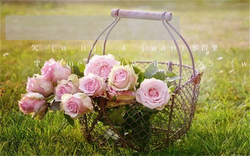 欠網(wǎng)貸4萬(wàn)多得坐牢沒(méi)(網(wǎng)貸欠5萬(wàn)會(huì)坐牢嗎)