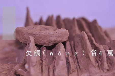 欠網(wǎng)貸4萬去自首