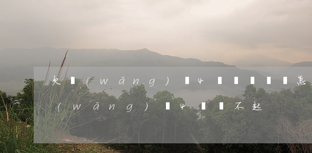 欠網(wǎng)貸4萬塊沒錢還怎么辦（網(wǎng)貸4萬還不起）