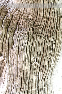 欠網(wǎng)貸4萬多會(huì)判刑嗎(網(wǎng)貸欠四千多會(huì)被法院起訴嗎)