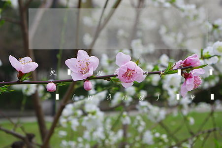 欠網(wǎng)貸4萬多還不起怎么辦(欠網(wǎng)貸4萬塊沒錢還怎么辦)