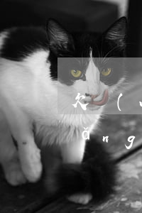 欠網(wǎng)貸4萬還不起(欠了網(wǎng)貸三四萬還不起了怎么辦)