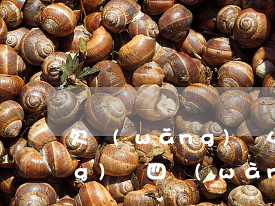 欠網(wǎng)貸4還不起(欠網(wǎng)貸四萬(wàn)多還不起怎么辦)
