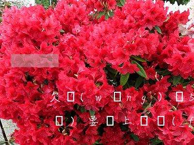 欠網(wǎng)貸5000塊說(shuō)要給上門費(fèi)-