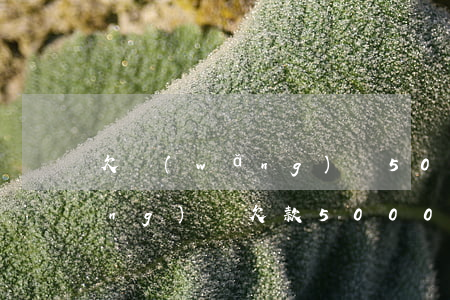 欠網(wǎng)貸500元一年(網(wǎng)貸欠款5000)