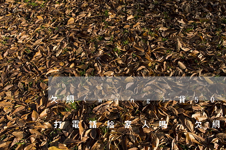 欠網(wǎng)貸500元會(huì)打電話給家人嗎-欠網(wǎng)貸500元會(huì)打電話給家人嗎知乎