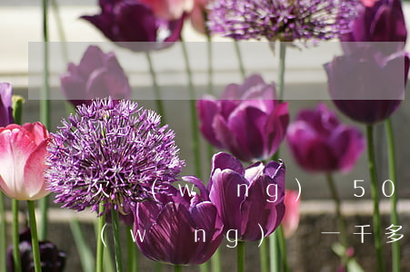 欠網(wǎng)貸500塊會上門嗎(欠網(wǎng)貸一千多會上門嗎)