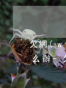 欠網(wǎng)貸500塊錢找到家人怎么辦-欠網(wǎng)貸500塊錢找到家人怎么辦呢