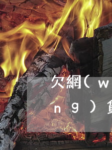 欠網(wǎng)貸500塊錢(欠網(wǎng)貸5000)