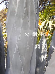 欠網(wǎng)貸50元不還怎么辦(欠50網(wǎng)貸還不了怎么辦)