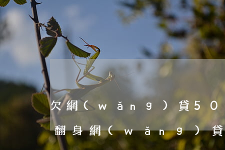 欠網(wǎng)貸50萬(wàn)如何翻身(網(wǎng)貸50萬(wàn)怎么翻身)